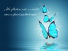 Gâgă Simona Mihaela Cabinet Individual de Psihologie